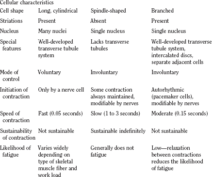 Characteristics of Muscle Tissue - The Handy Anatomy Answer Book